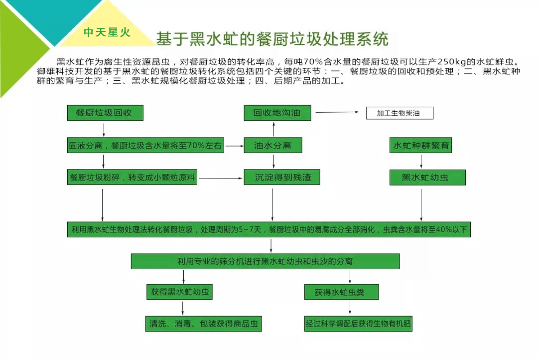 黑水虻處理餐廚垃圾（jī）處（chù）理設備及工藝流程圖